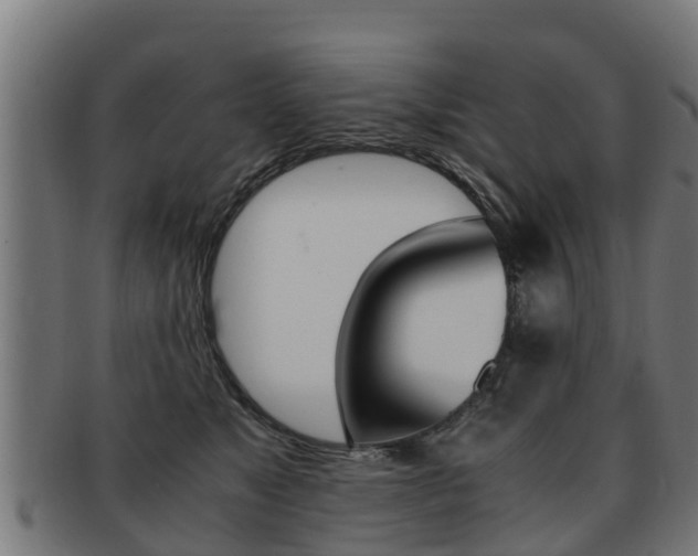 X0000091980517200709061155