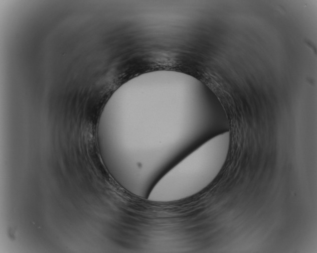 X0000091980518200709061155