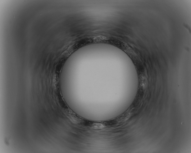 X0000091980519200709061155