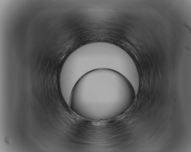 X0000091980520200709061155