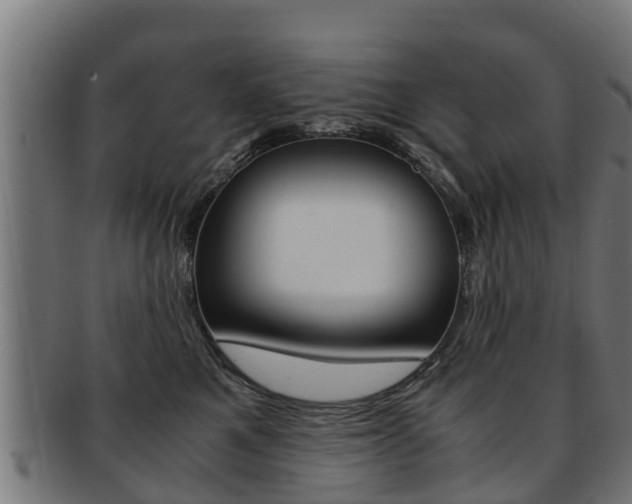 X0000091980521200709061155