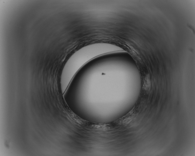 X0000091980524200709061155