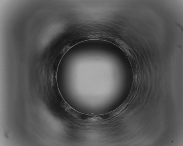 X0000091980525200709061155