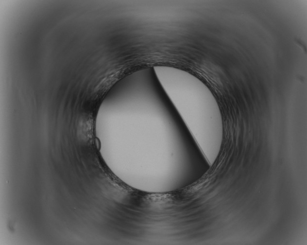 X0000091980526200709061155