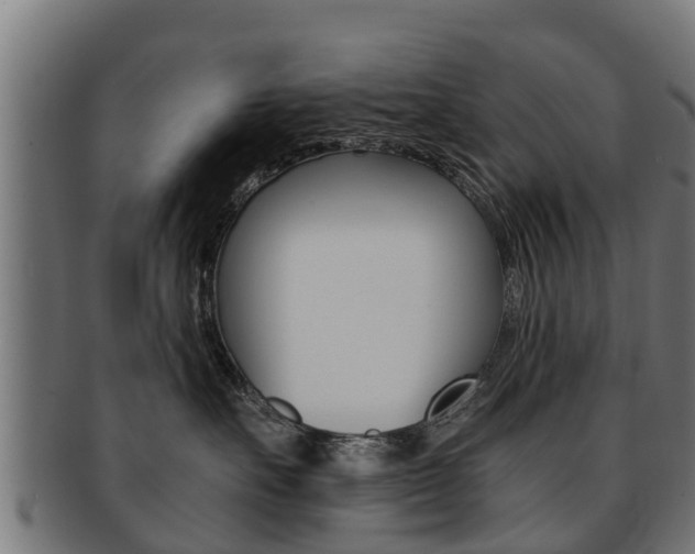 X0000091980527200709061155