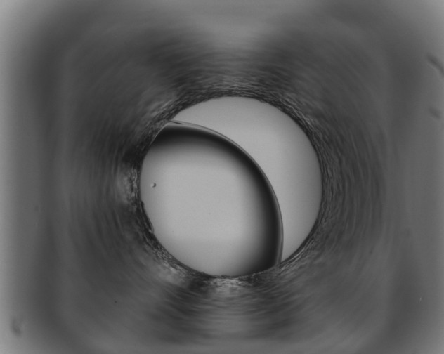 X0000091980528200709061155