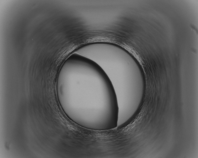X0000091980529200709061154