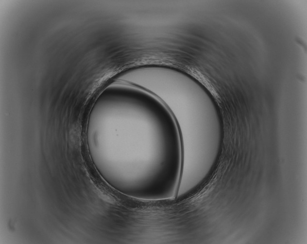 X0000091980530200709061154