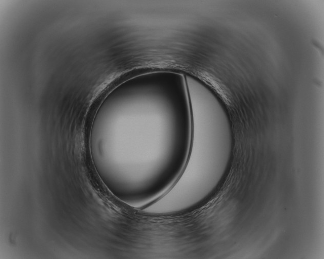 X0000091980532200709061154