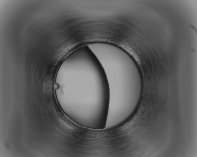 X0000091980533200709061154