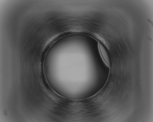 X0000091980535200709061154