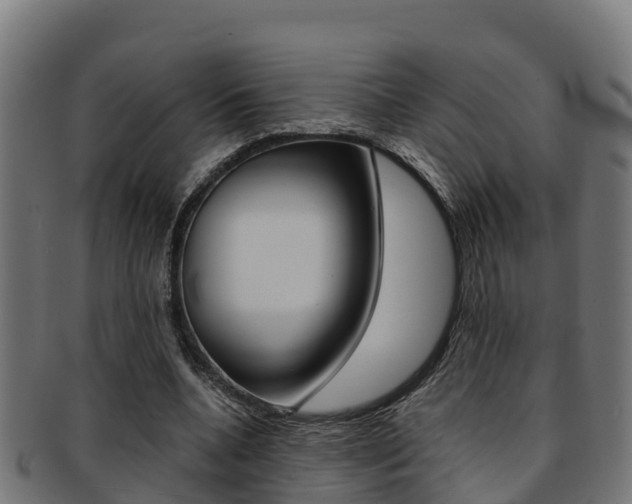 X0000091980536200709061154