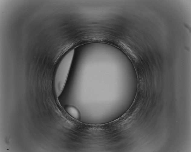 X0000091980537200709061154