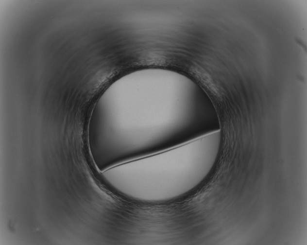 X0000091980538200709061154