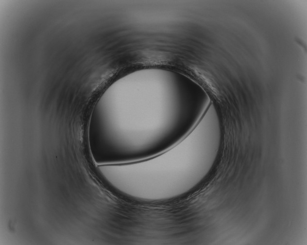 X0000091980539200709061154