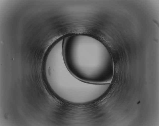 X0000091980540200709061154