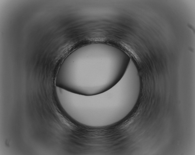 X0000091980541200709061154