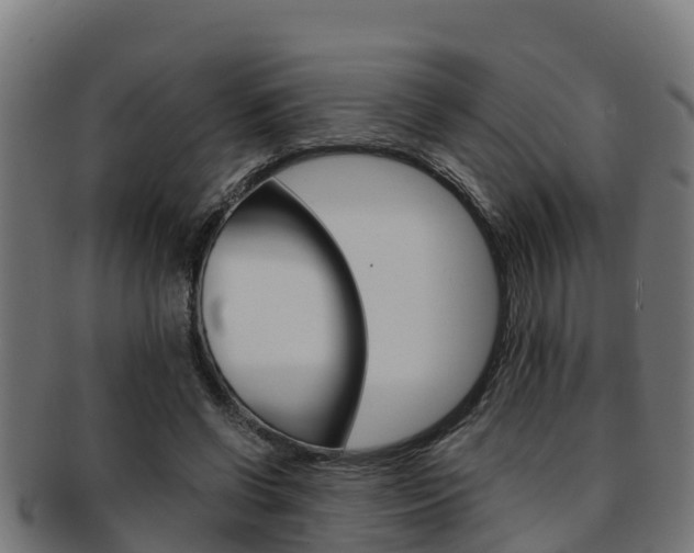 X0000091980542200709061154