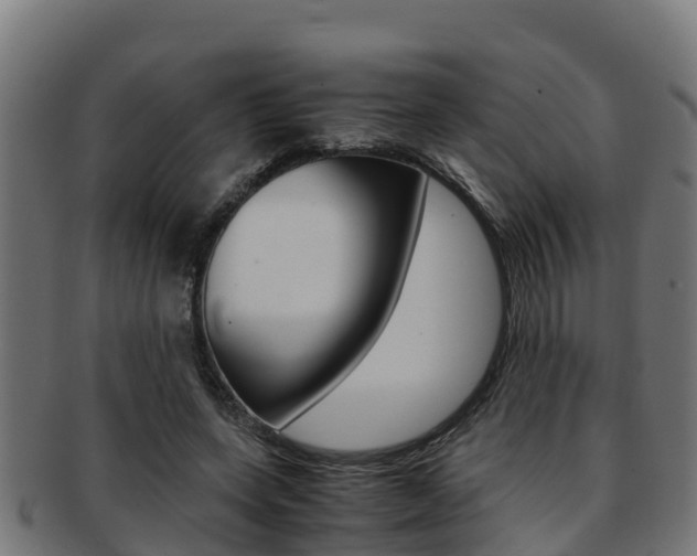 X0000091980543200709061154