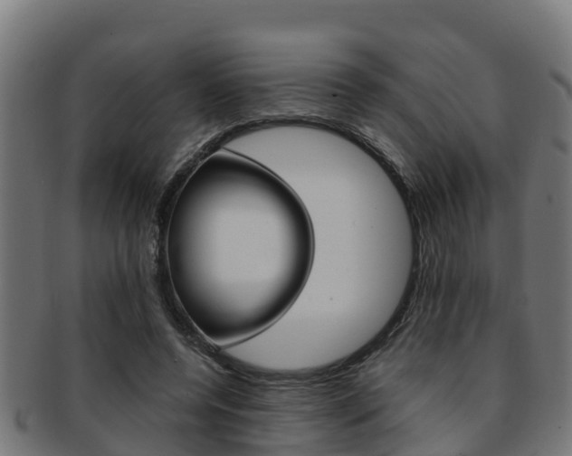 X0000091980544200709061154