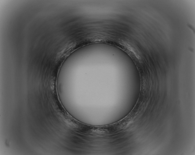 X0000091980545200709061154