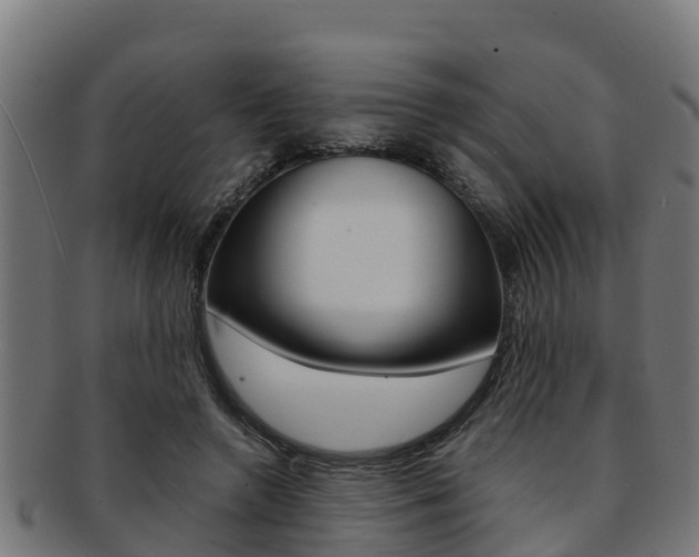 X0000091980546200709061154