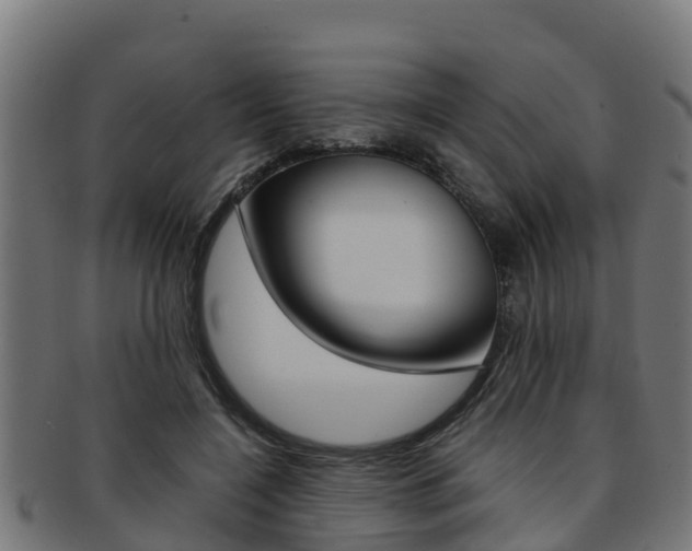 X0000091980548200709061154