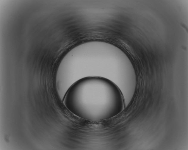 X0000091980552200709061155