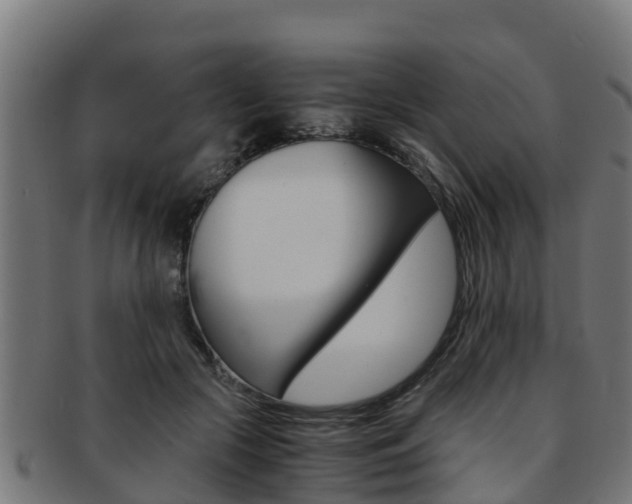 X0000091980553200709061155