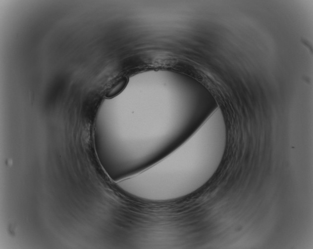 X0000091980554200709061155
