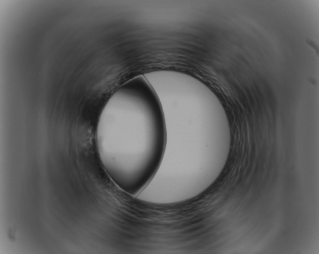 X0000091980555200709061155
