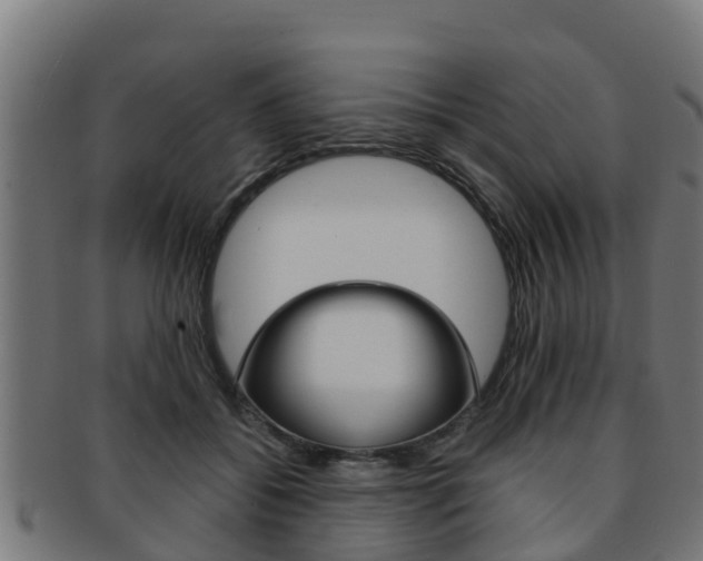 X0000091980556200709061155