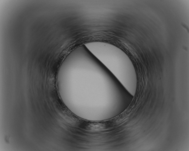 X0000091980557200709061155