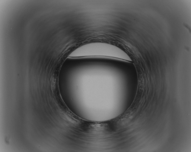 X0000091980558200709061155