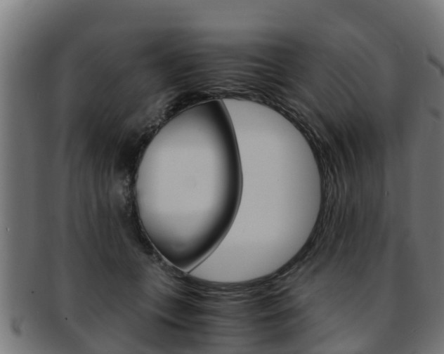 X0000091980559200709061155