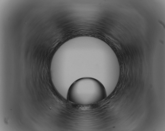 X0000091980560200709061155