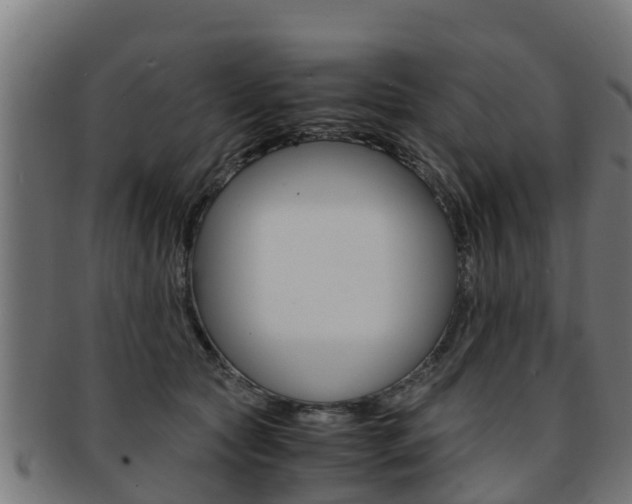X0000091980561200709061155