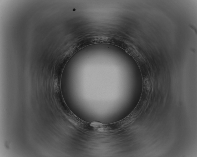 X0000091980564200709061155