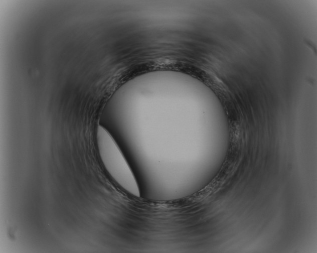 X0000091980565200709061155