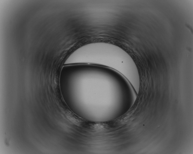 X0000091980566200709061155