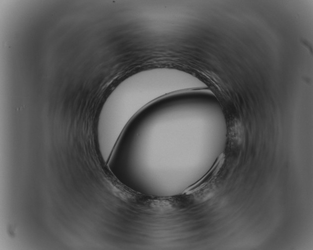 X0000091980572200709061155