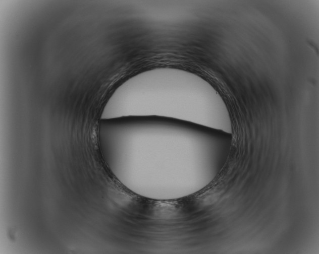 X0000091980573200709061155