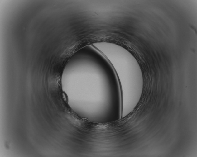 X0000091980574200709061155