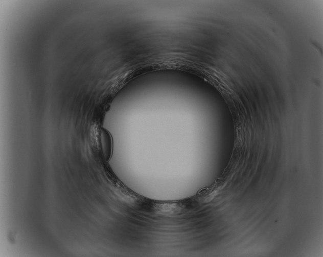 X0000091980575200709061155
