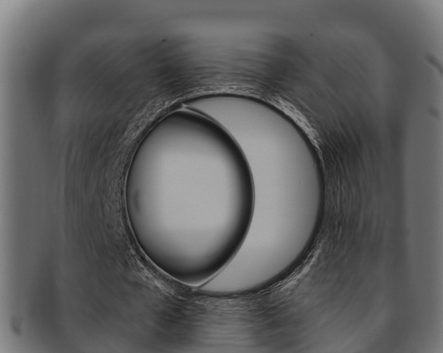 X0000091980577200709061154