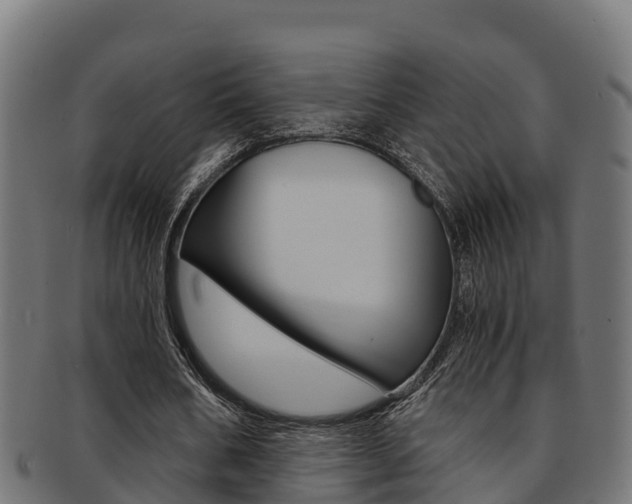 X0000091980578200709061154