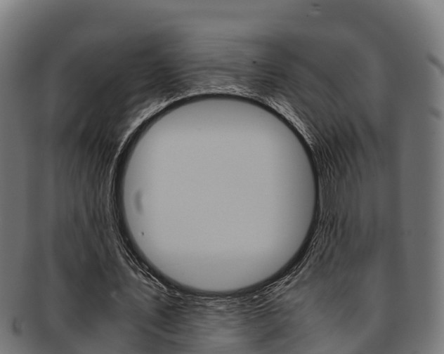 X0000091980579200709061154
