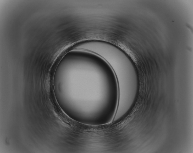 X0000091980580200709061154