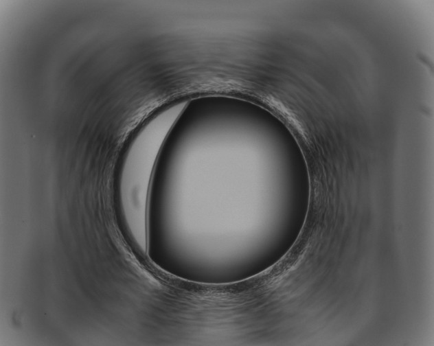 X0000091980581200709061154
