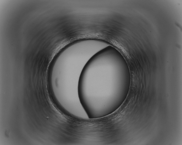 X0000091980582200709061154